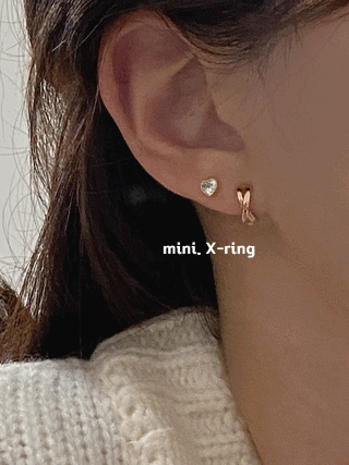 Mini X earring/3color
